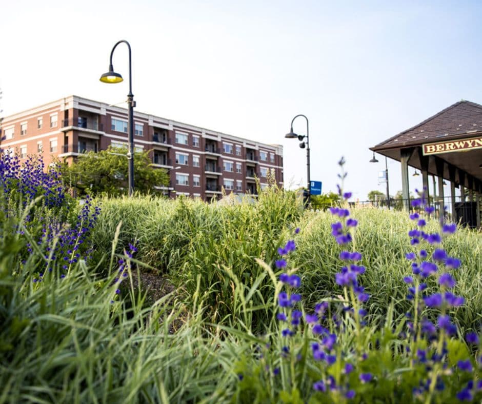 Berwyn's Depot District: Exploring History and Culture, IL
