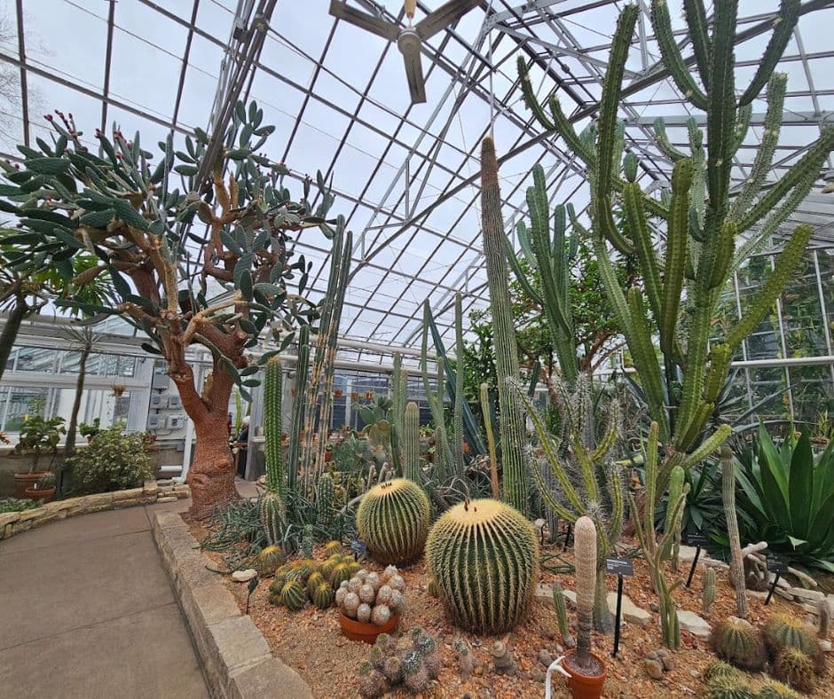Oak Park Conservatory: A Botanical Haven in the Heart of Oak Park, IL
