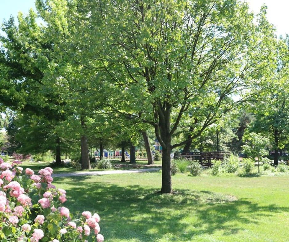 Proksa Park: Outdoor Fun for the Whole Family, IL