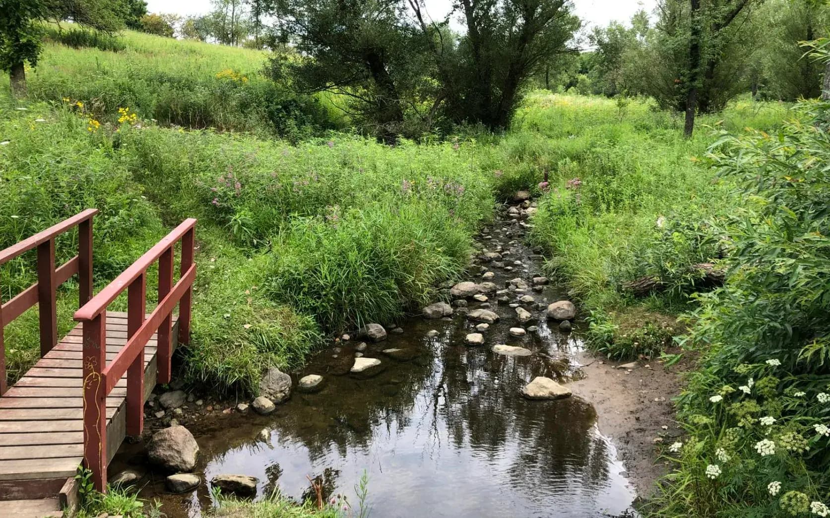 Discover Nature’s Beauty at Dixie Briggs Fromm Nature Preserve in Algonquin, IL