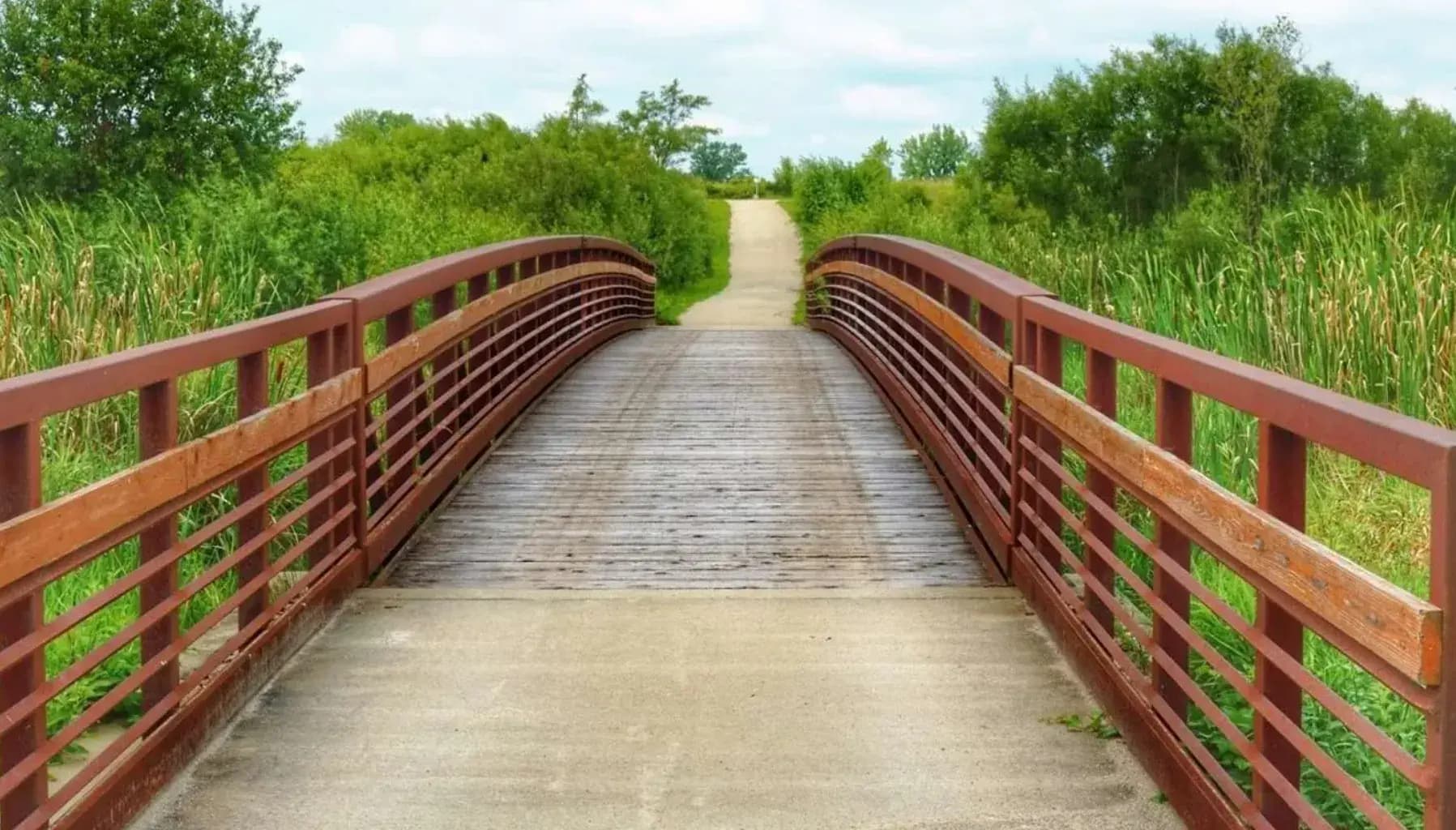 Explore Nature’s Beauty: A Guide to James Pate Philip State Park in Bartlett, IL