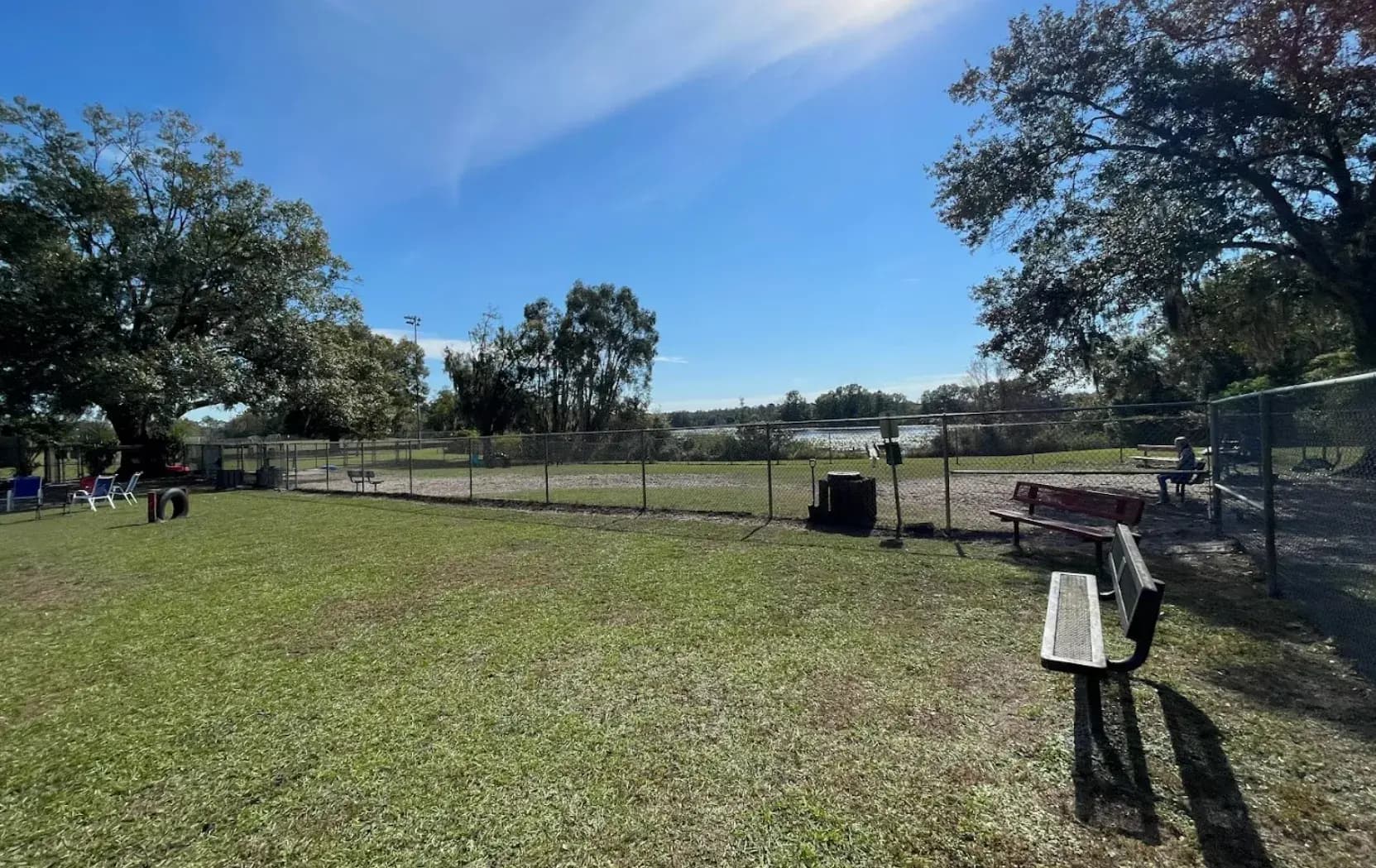 Off-Leash Fun Awaits at Hawk Hollow Dog Park in Bartlett, IL: A Dog Lover’s Guide