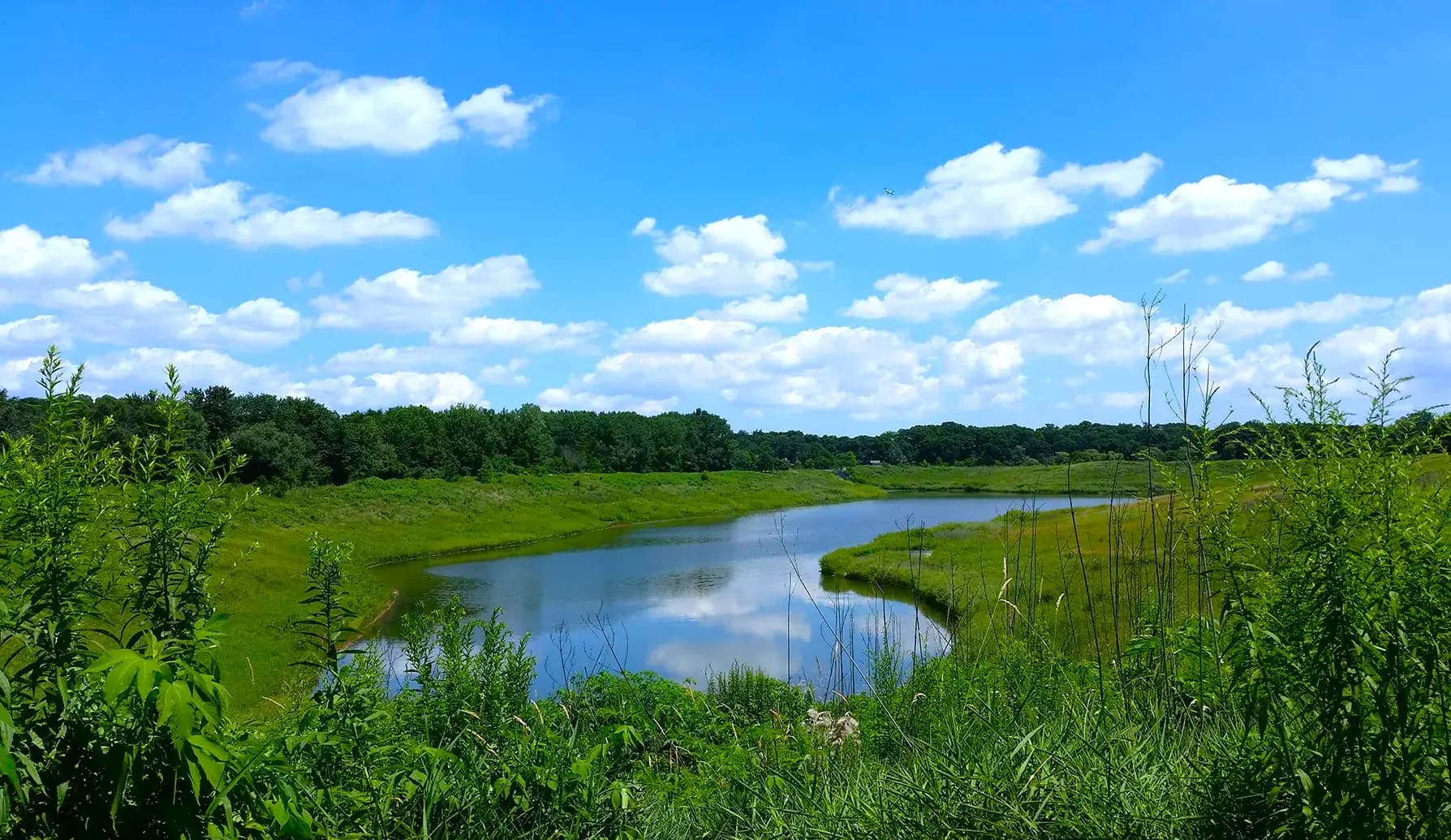Enjoy Scenic Views and Outdoor Adventures at Spring Creek Reservoir Forest Preserve in Bloomingdale, IL