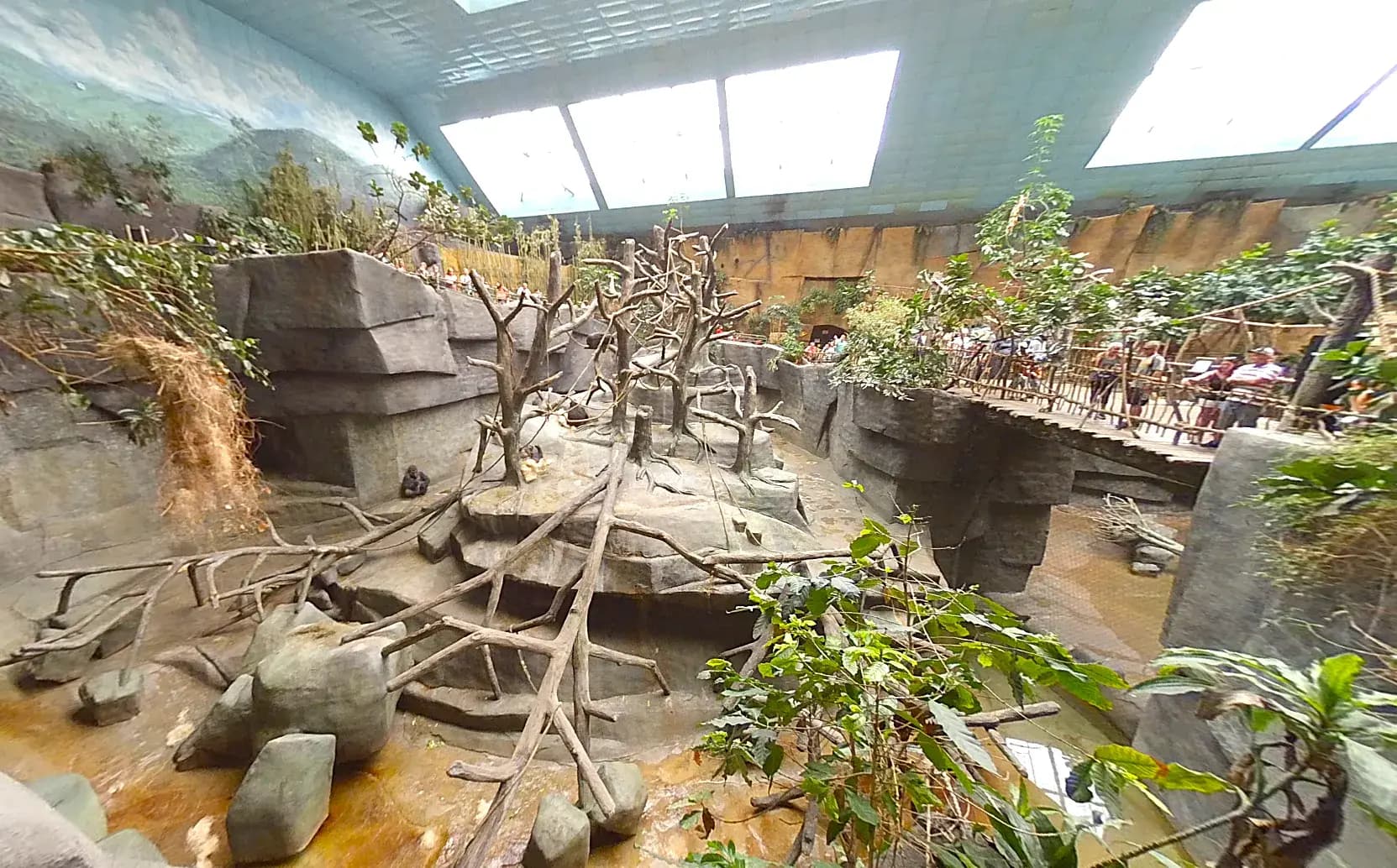 Experience the Exotic Wonders of Tropic World at Brookfield Zoo in Brookfield, IL