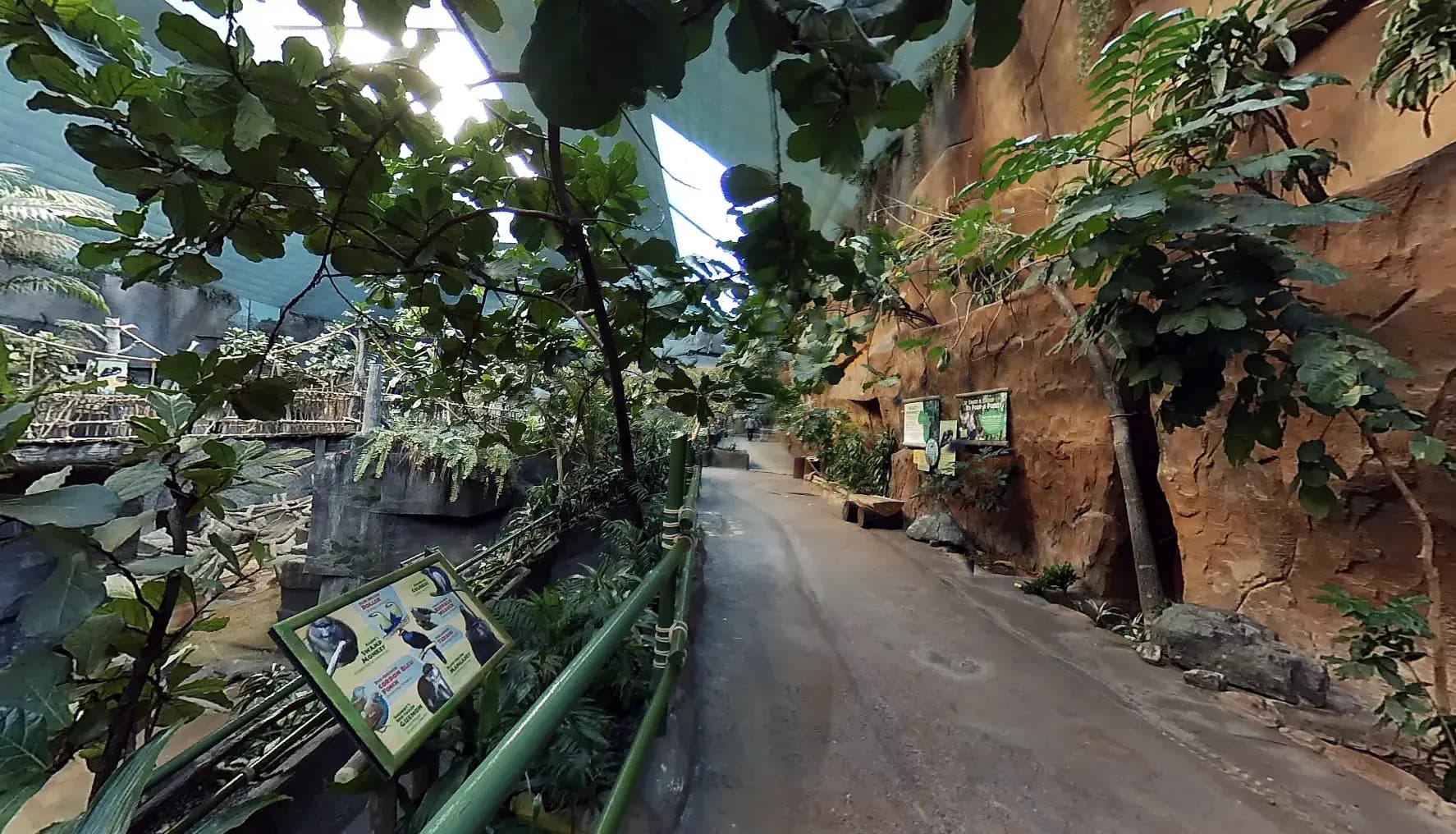 Exotic Wildlife and Immersive Habitats: Why Tropic World in Brookfield, IL Is a Must-See