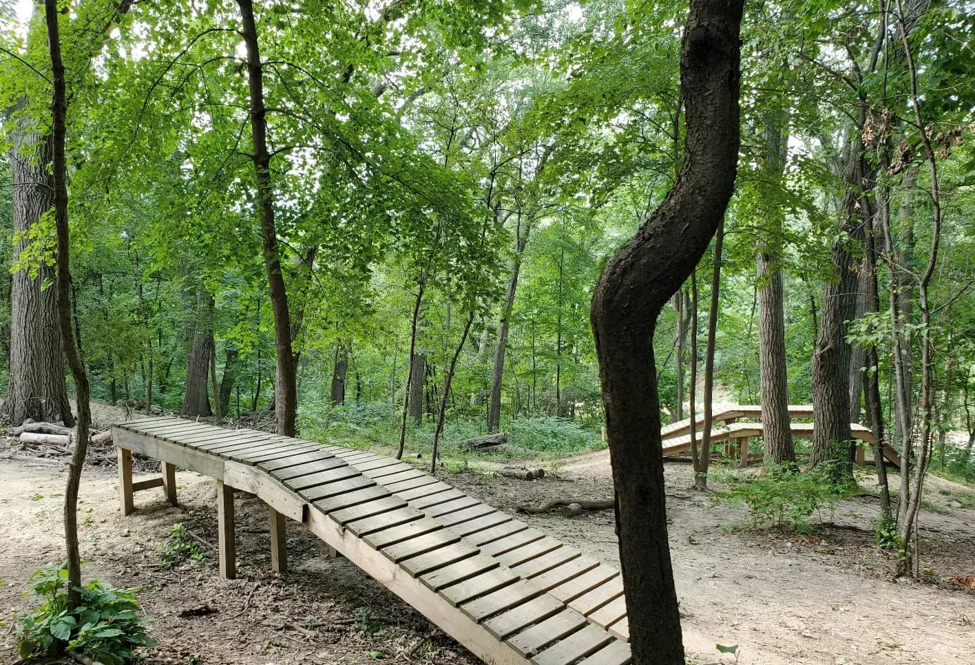 Ride the Trails at Keith Andres Bike Park in Carpentersville, IL – A Cyclist’s Paradise