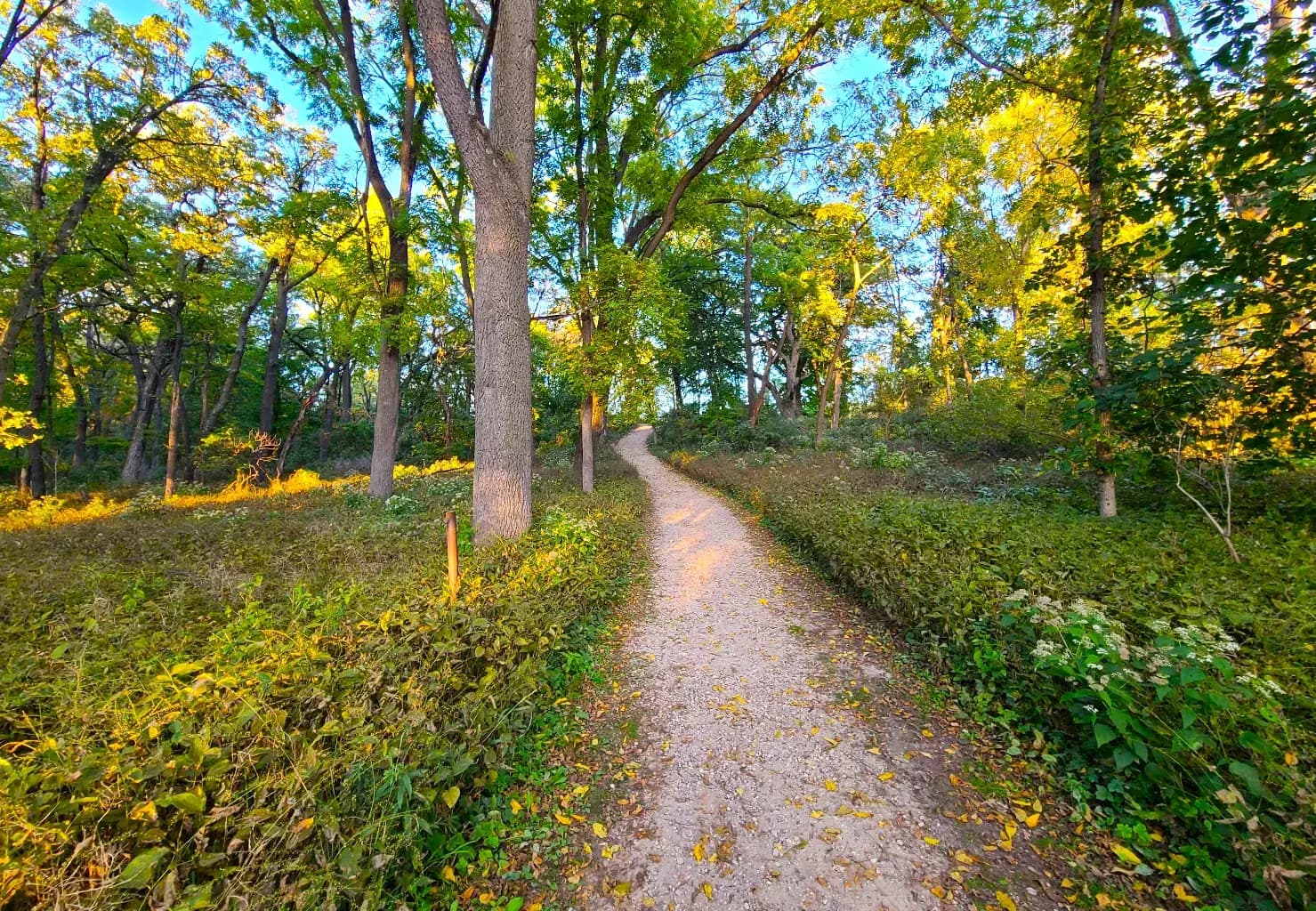 Explore the Beautiful Trails and History of Veteran Acres Park in Crystal Lake, IL