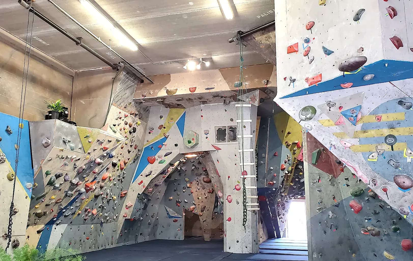 Conquer New Heights at North Wall Rock Climbing Gym in Crystal Lake, IL