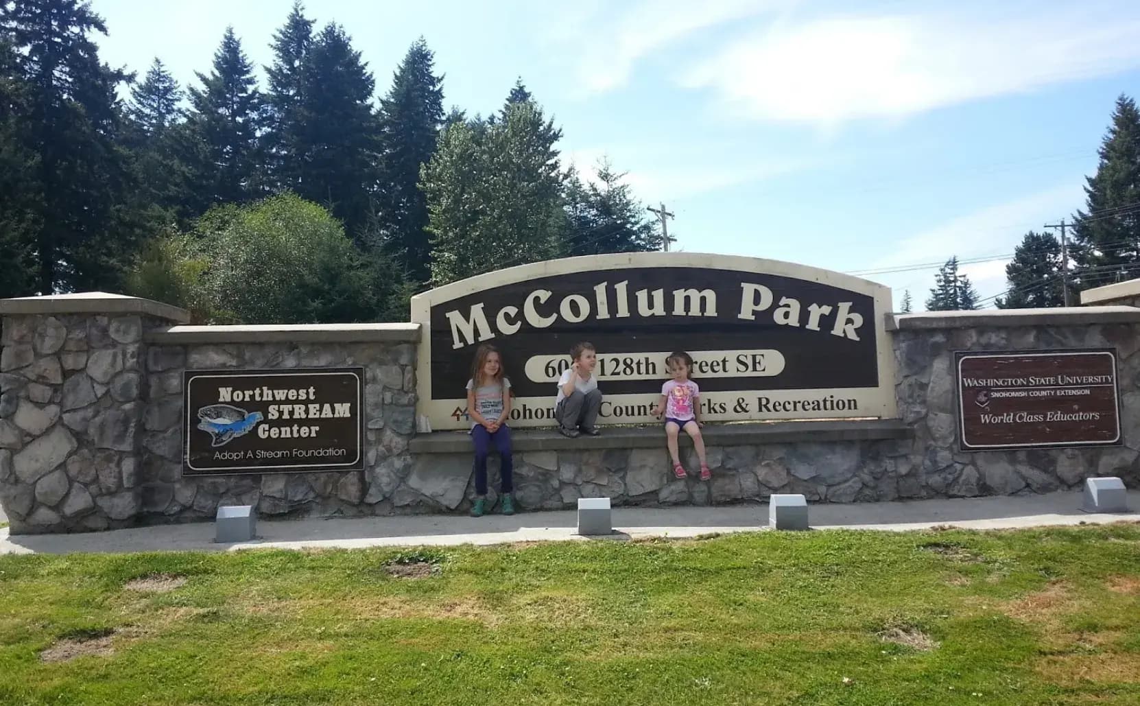 Why is McCollum Park in Downers Grove, IL a must-visit for families and fitness enthusiasts?
