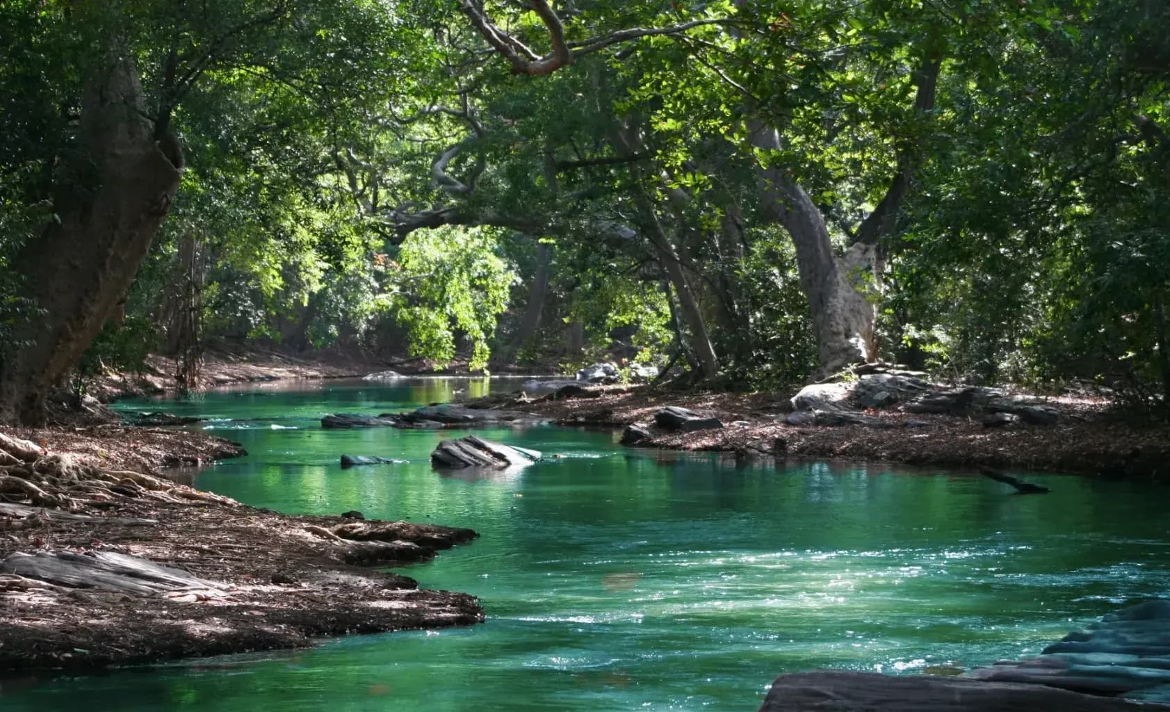 Explore Nature and Wildlife at Heller Nature Center in Highland Park, IL
