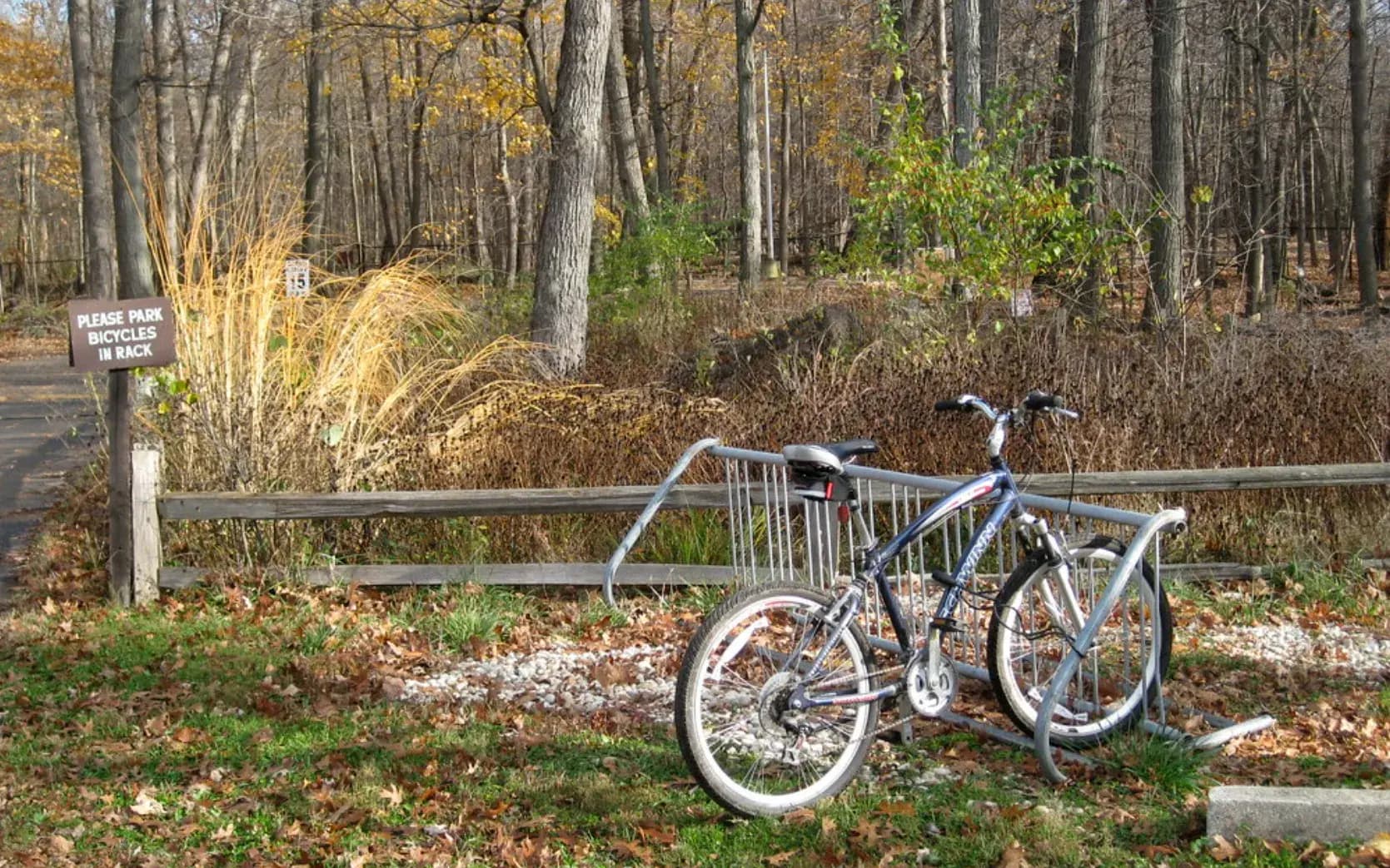 Discover Wildlife and Scenic Trails at River Trail Nature Center in Northbrook, IL