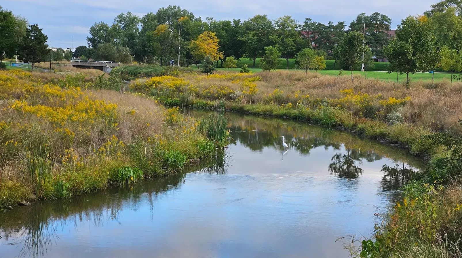 Exploring the Natural Beauty of Centerpoint Preserve: A Hidden Gem in Northlake, IL