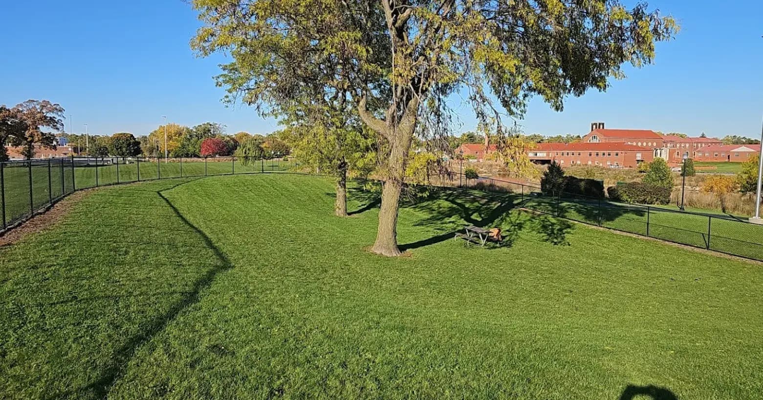 Fun for Furry Friends Exploring Northlake Dog Park in Northlake IL