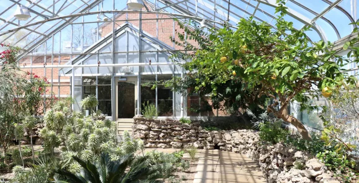 Floral Wonders Await: Explore the Green Haven of Oak Park Conservatory in Oak Park, IL