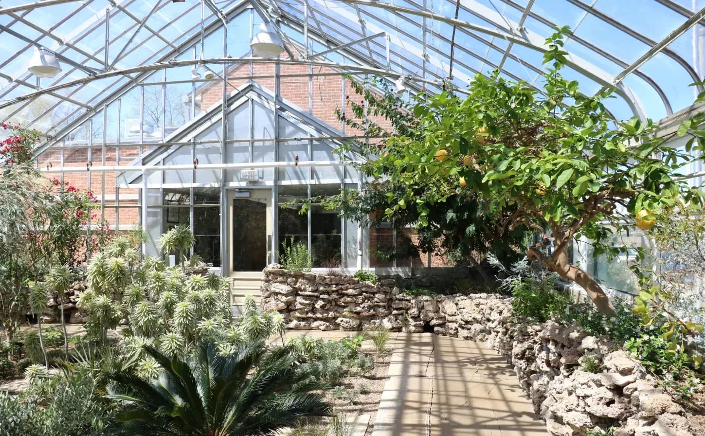 Escape to Nature A Visitor's Guide to the Oak Park Conservatory in Oak Park IL
