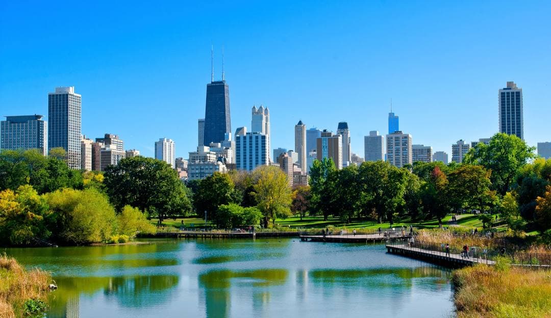 A Day With Wildlife: Lincoln Park Zoo's Attractions Near Hermosa, IL