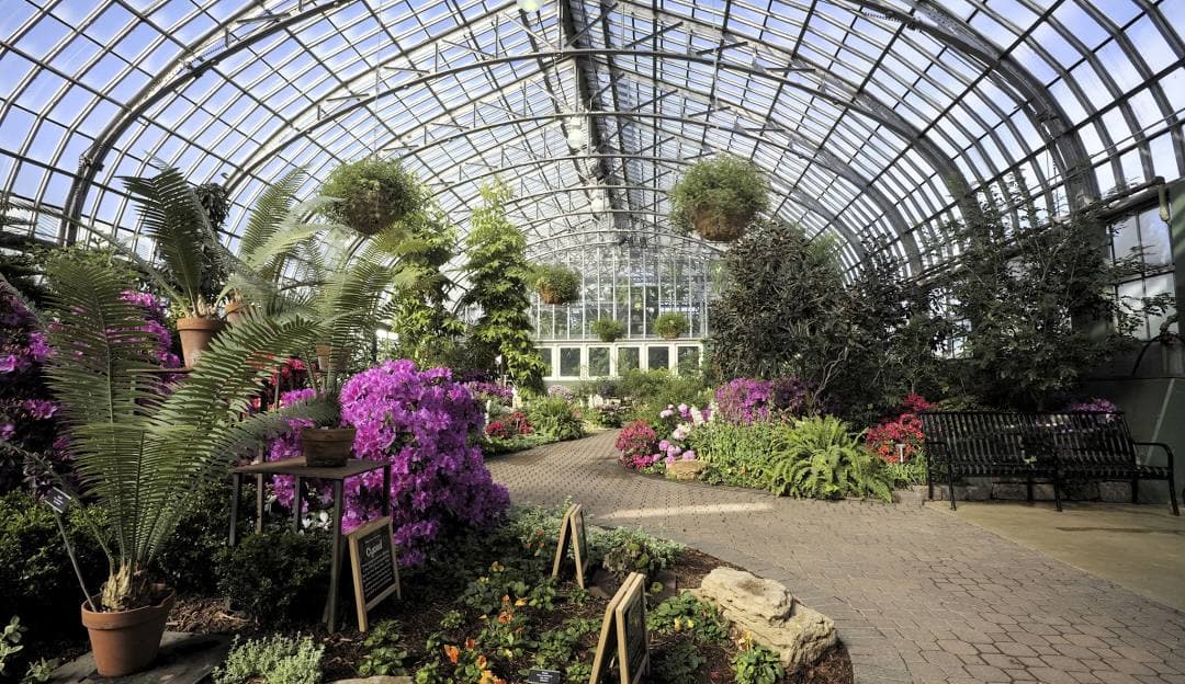 A Tropical Escape at Garfield Park Conservatory: A Must-Visit Near Hermosa, IL